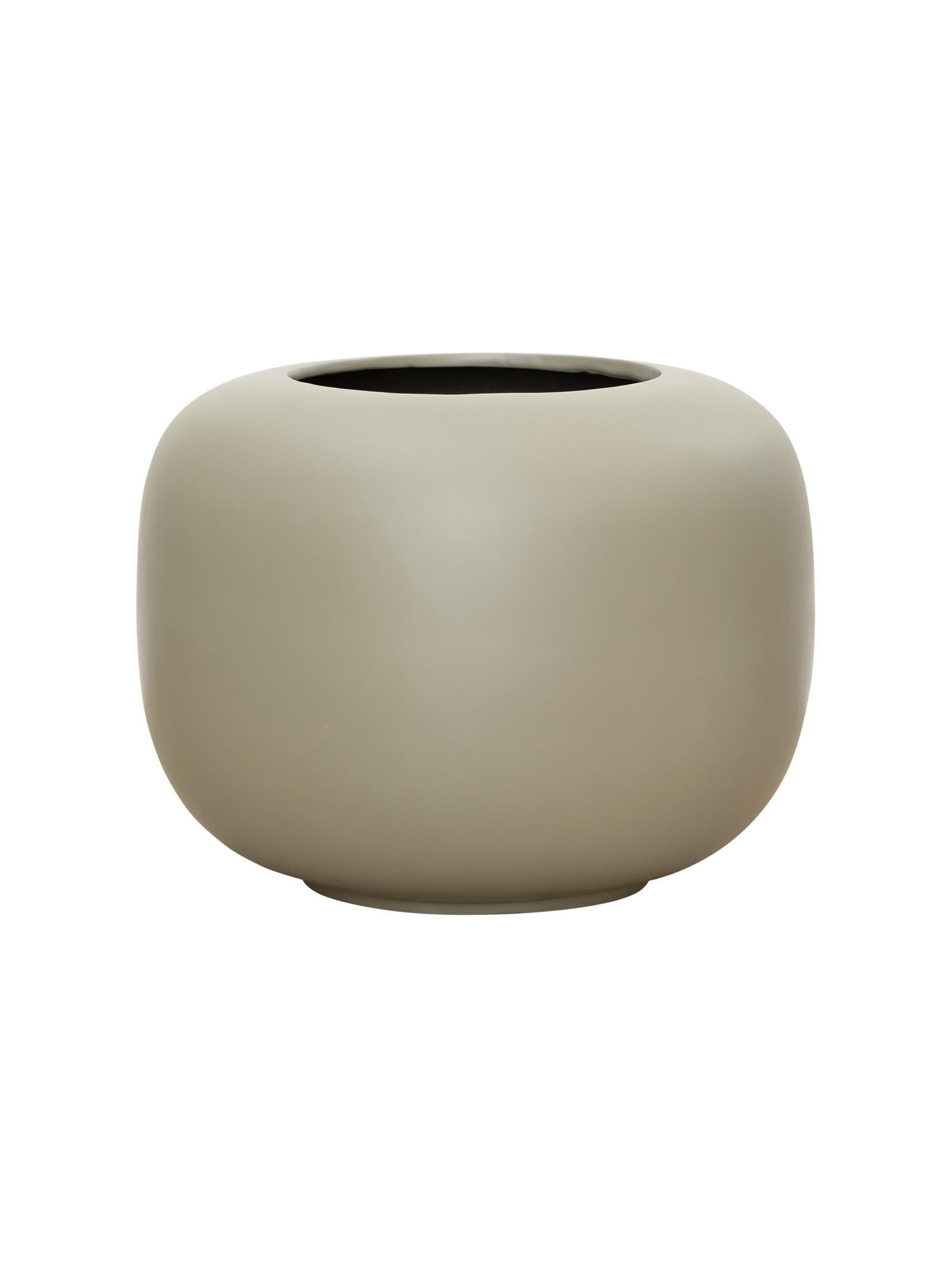 Arizona Planter XL Aloe